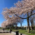 It’s spring and there is a sunny, warm weekend ahead