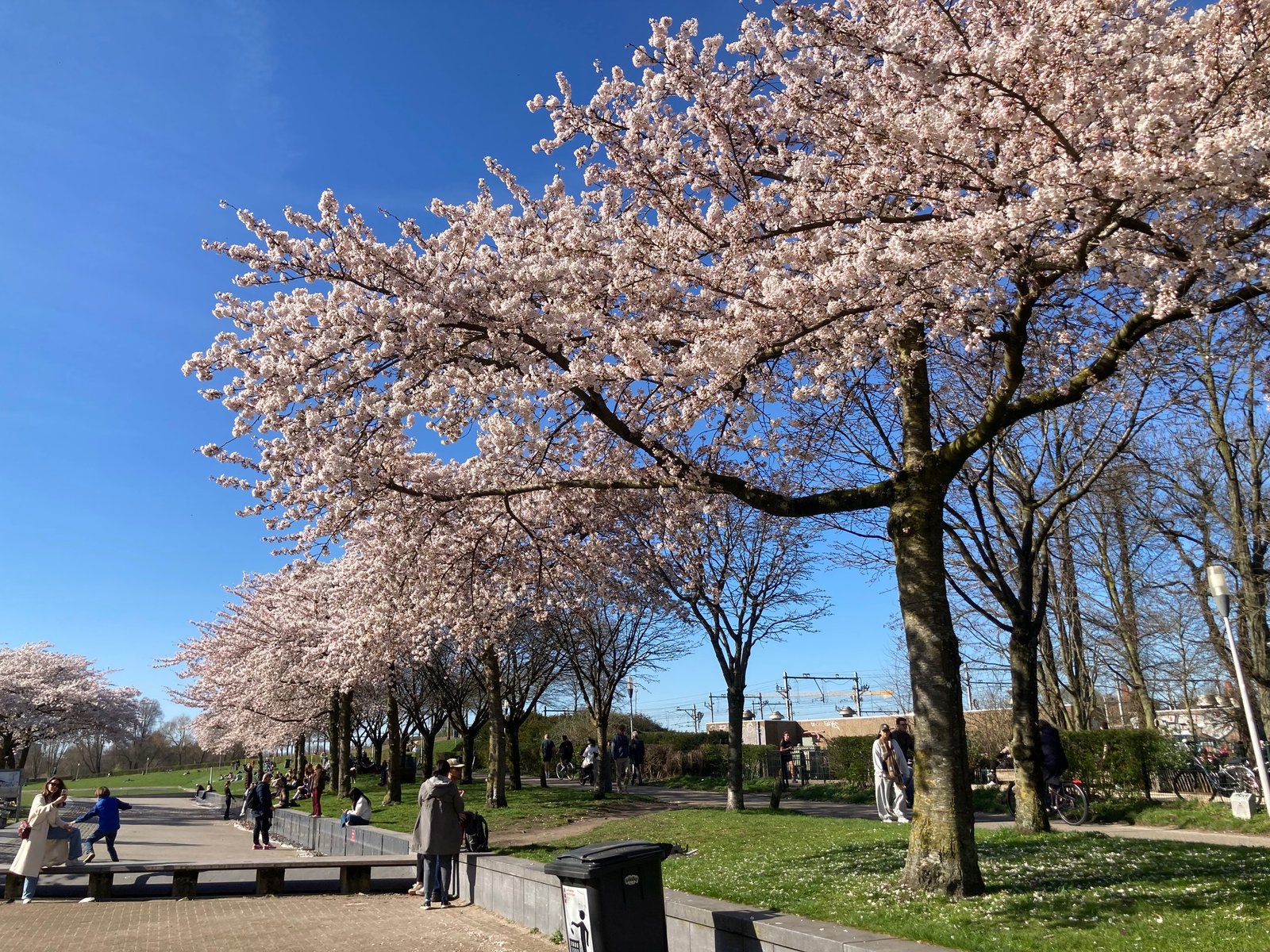 It’s spring and there is a sunny, warm weekend ahead