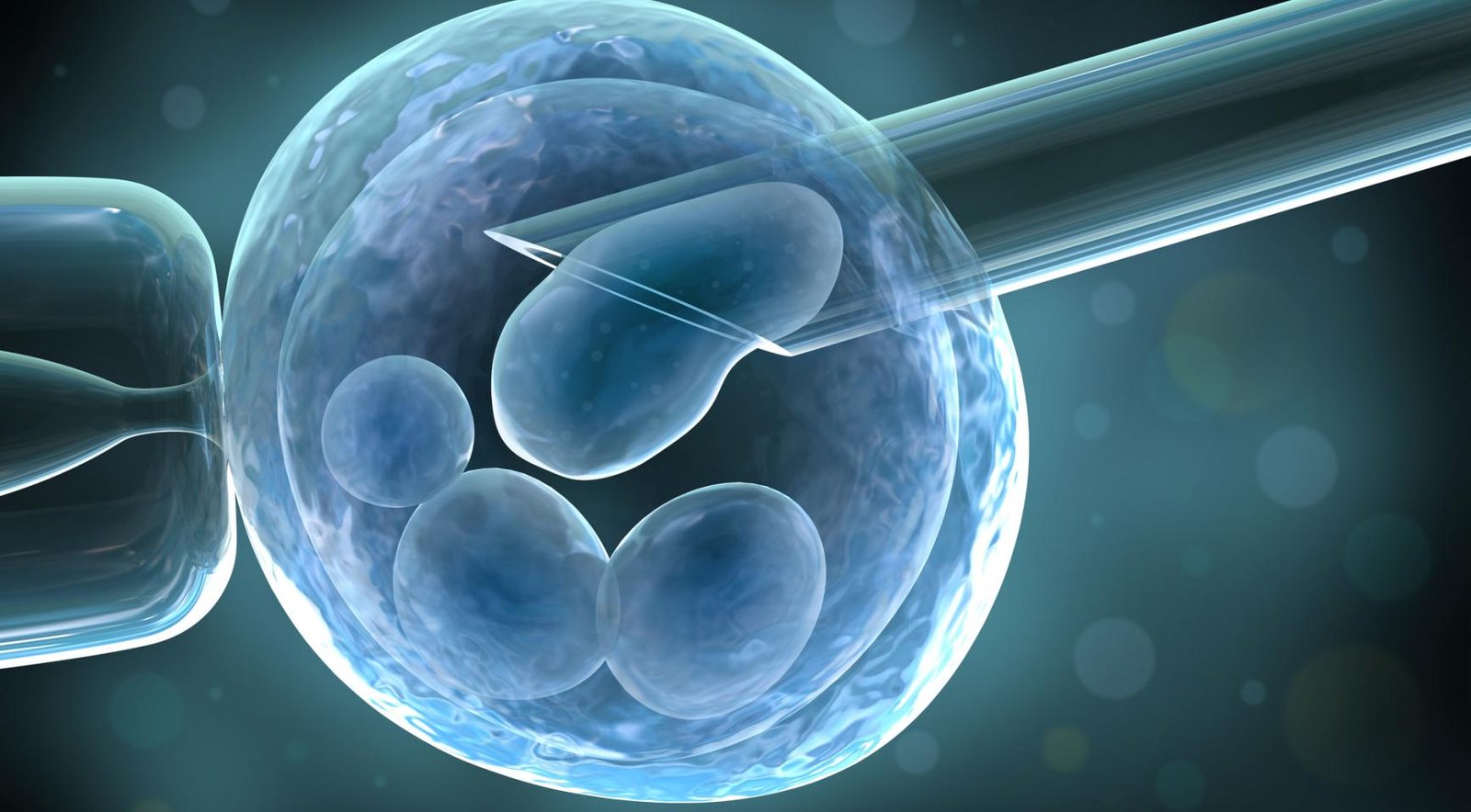 Leiderdorp clinic with mass donors also used sperm from old donors, lied to inspectorate