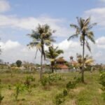 Police identify two Brazilian suspects in fatal stabbing of Dutch man in Bali