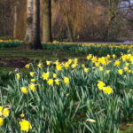 A chilly start to the week but warmer weather for Easter weekend