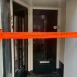 From tulips to tiny things: 11 great things to do in April