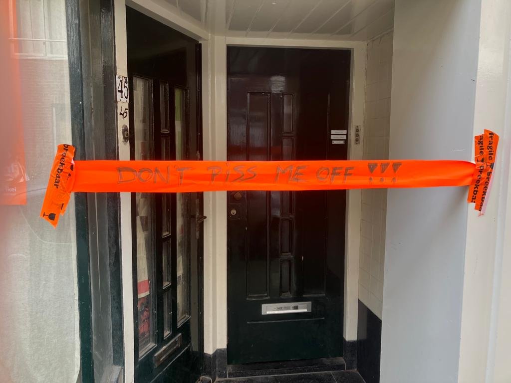 From tulips to tiny things: 11 great things to do in April