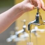 Dutch regulator weighs ban on 46 PFAS pesticides over drinking water threat