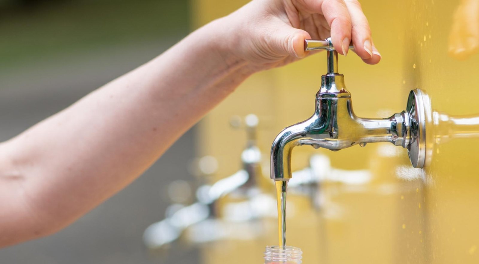 Dutch regulator weighs ban on 46 PFAS pesticides over drinking water threat
