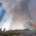 More fires break out at Dutch military training grounds