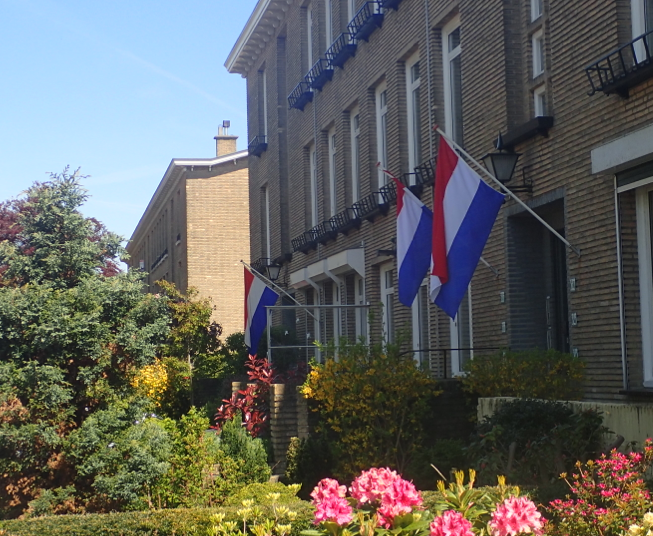 From sleep to celebrating peace: 11 great things to do in May