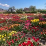 A few days of summer ahead, but showers likely later