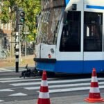 Traffic deaths peak, sharp rise among elderly male cyclists