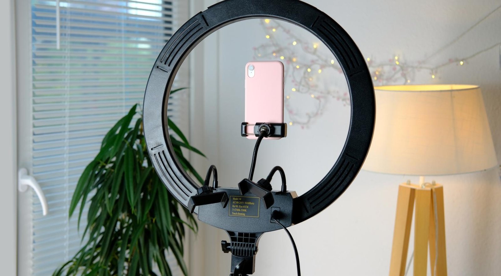 Influencers need to disclose lack of expertise with social posts, says Dutch lawmaker