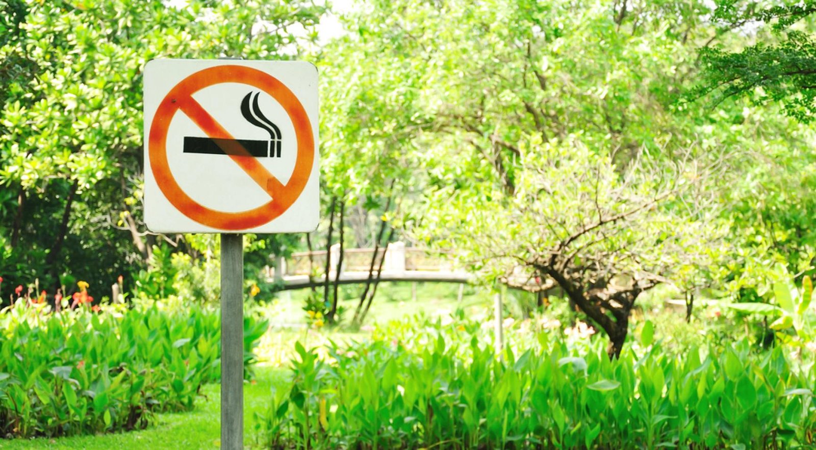 Breda opens first fully smoke-free city park in the Netherlands
