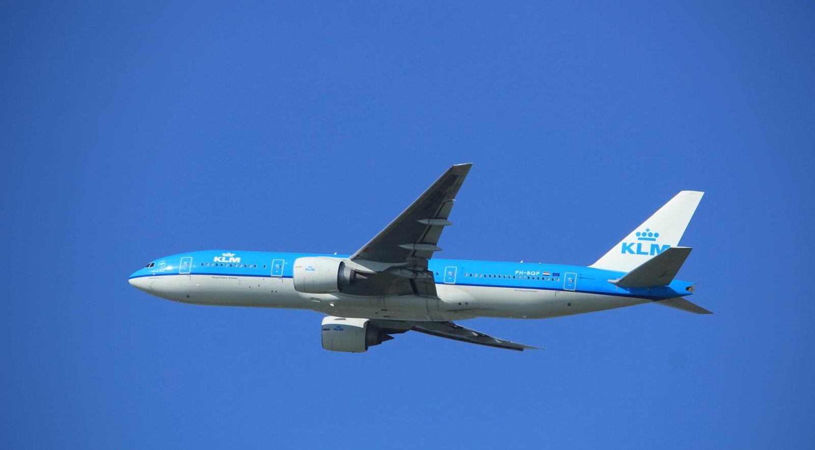 KLM flight attendant hospitalized after contact with hantavirus cruise ship passenger