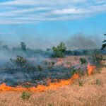 Army base fire was caused by explosives during training exercise
