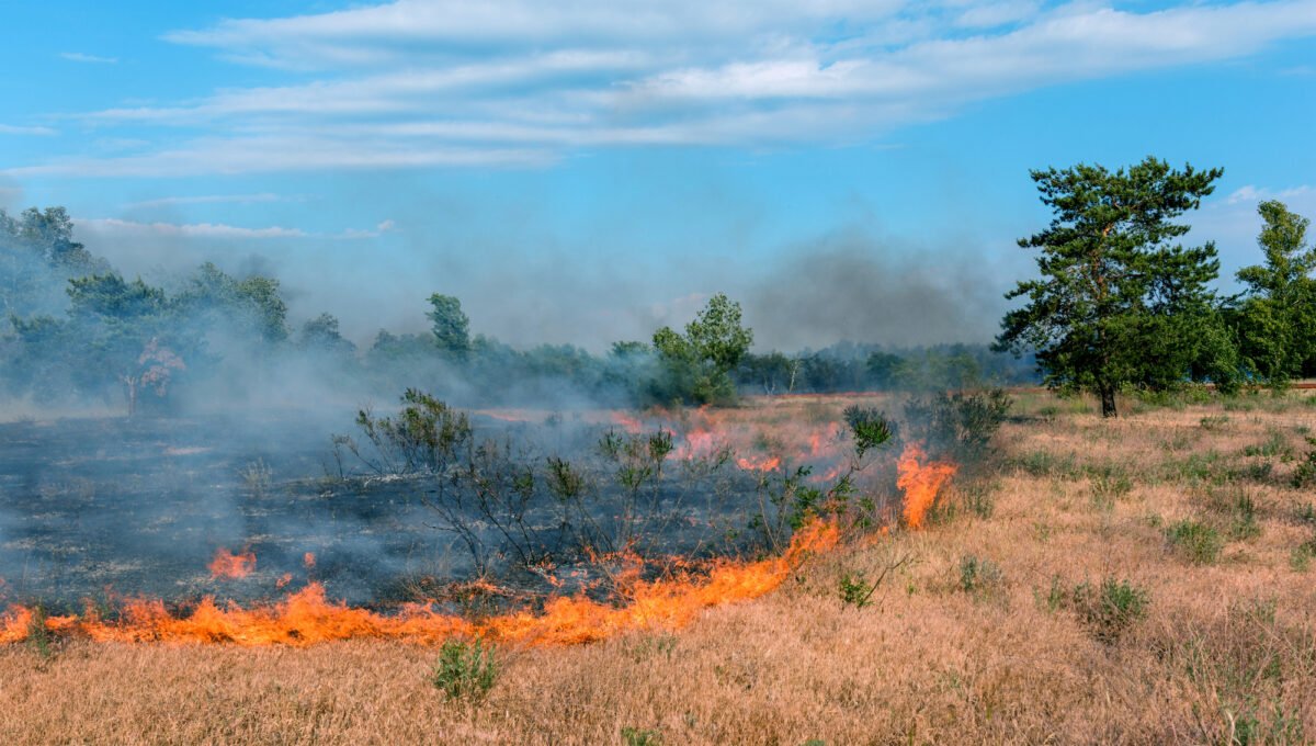 Army base fire was caused by explosives during training exercise