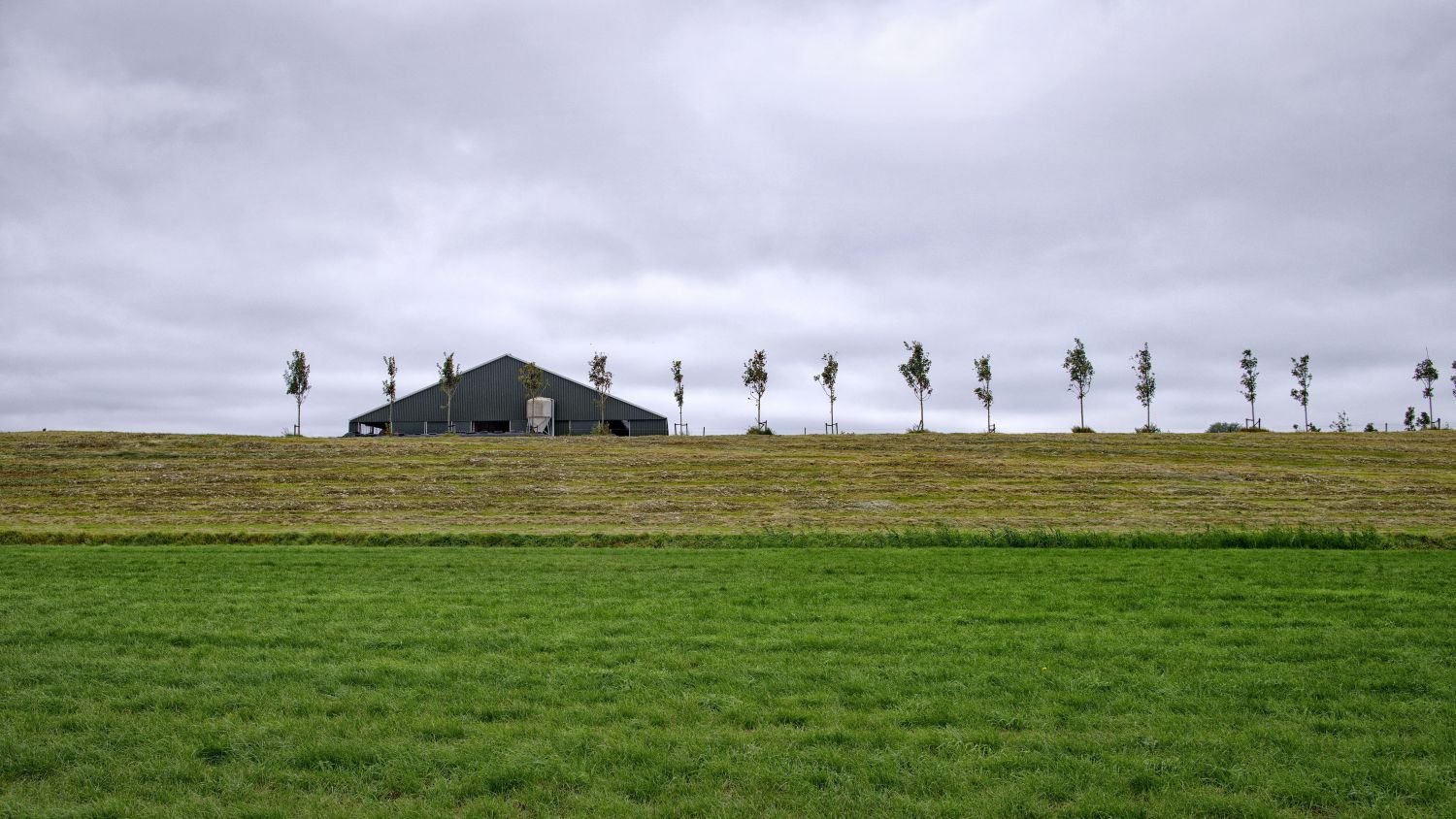 NL is littered with ancient dwelling mounds, research shows