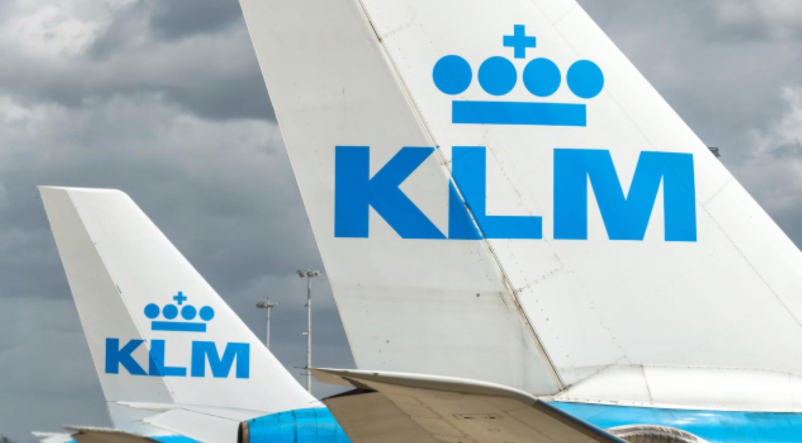 ECDC urges quarantine for passengers on KLM flight with Dutch hantavirus patient