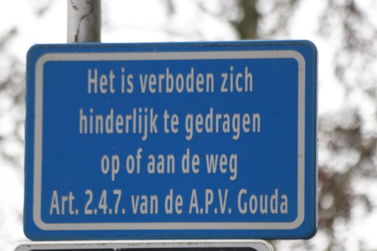 Inburgering – How to start on your Dutch citizenship journey