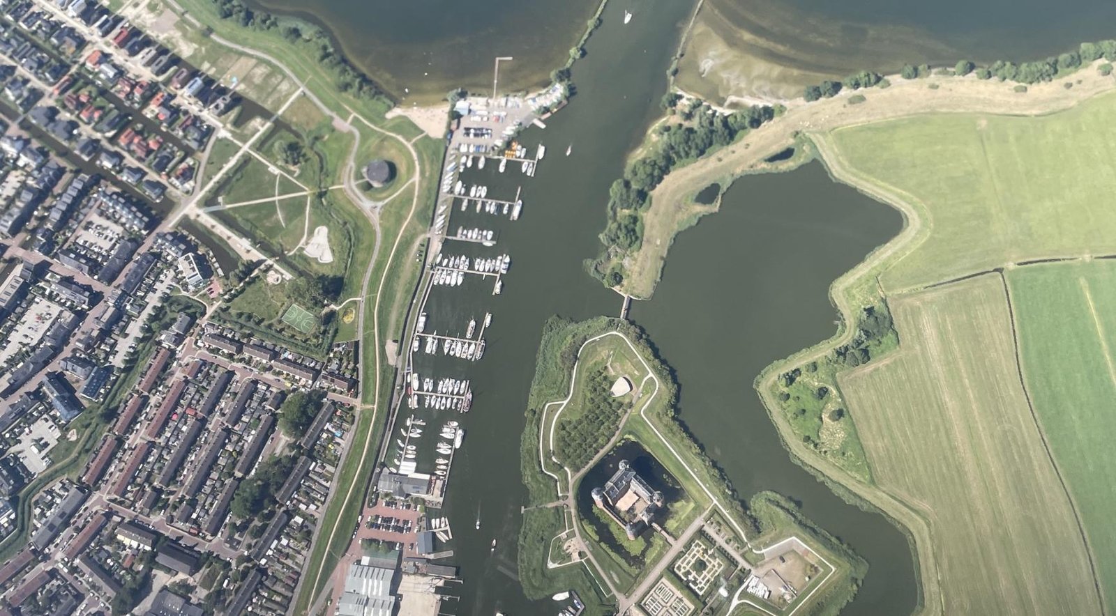 Dogs falling ill, dying after swimming in the IJmeer near Amsterdam & Almere