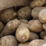 Nearly 40% fall in potato prices cuts Dutch farmers’ earnings by more than 10%