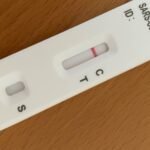 Social aspect of coronavirus measures was not ignored: Rutte