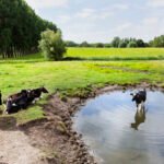 RIVM issues smog warning as temperatures climb and winds drop