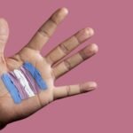 Nearly 40 Dutch websites being used to spread disinformation about transgender people