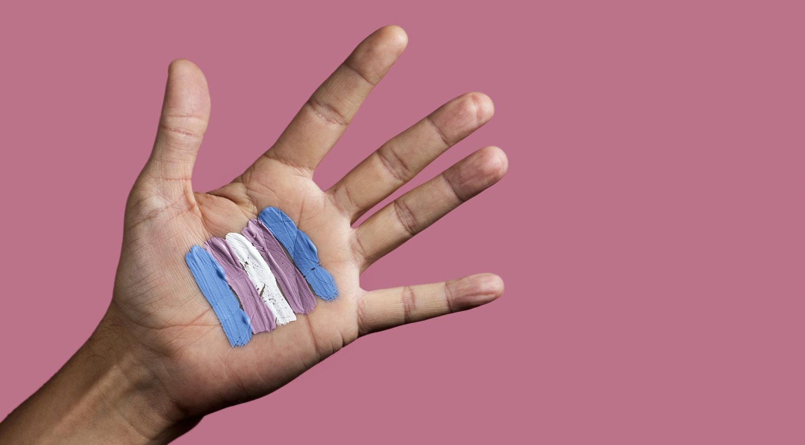 Nearly 40 Dutch websites being used to spread disinformation about transgender people