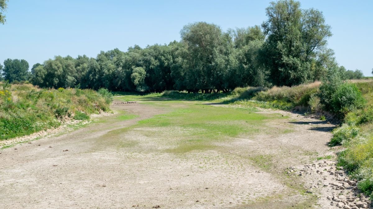 Risk of serious water shortages as river levels fall