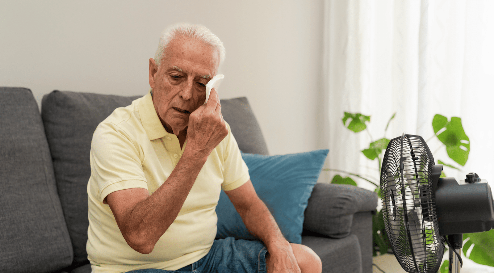 At least 911 more people died than usual during code red heatwave: RIVM