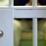 Police arrest 2 more in The Hague drug lab case