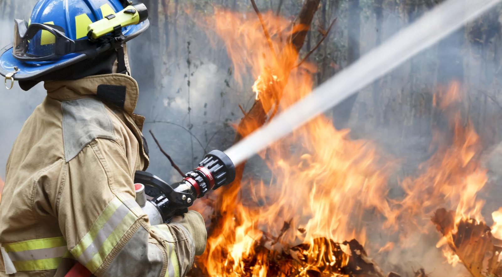 Dozens of Dutch tourists affected by wildfires in France, Spain