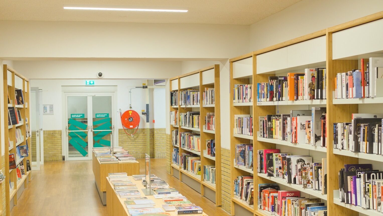 Readers still prefer paper books despite rise of digital options