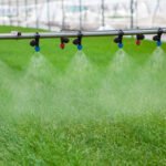 Glasshouses feel cost of drought as sprinkler ban imposed