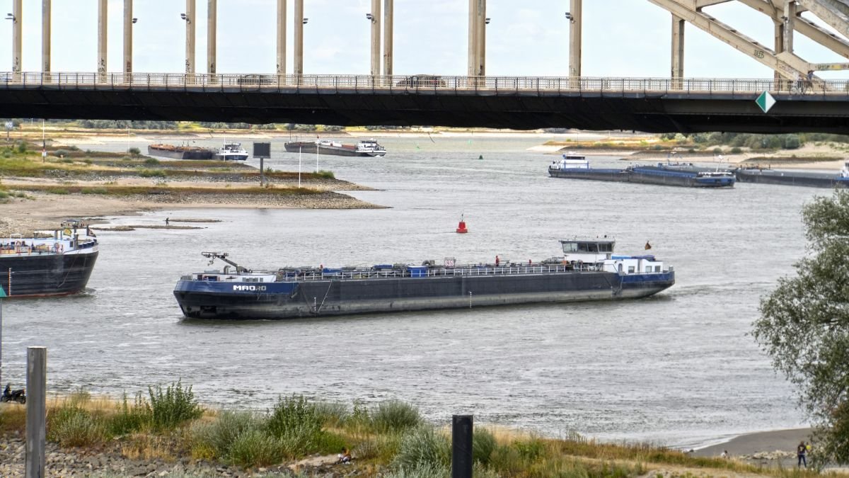 Rhine’s water flow drops to near 80-year low: shipping curbed