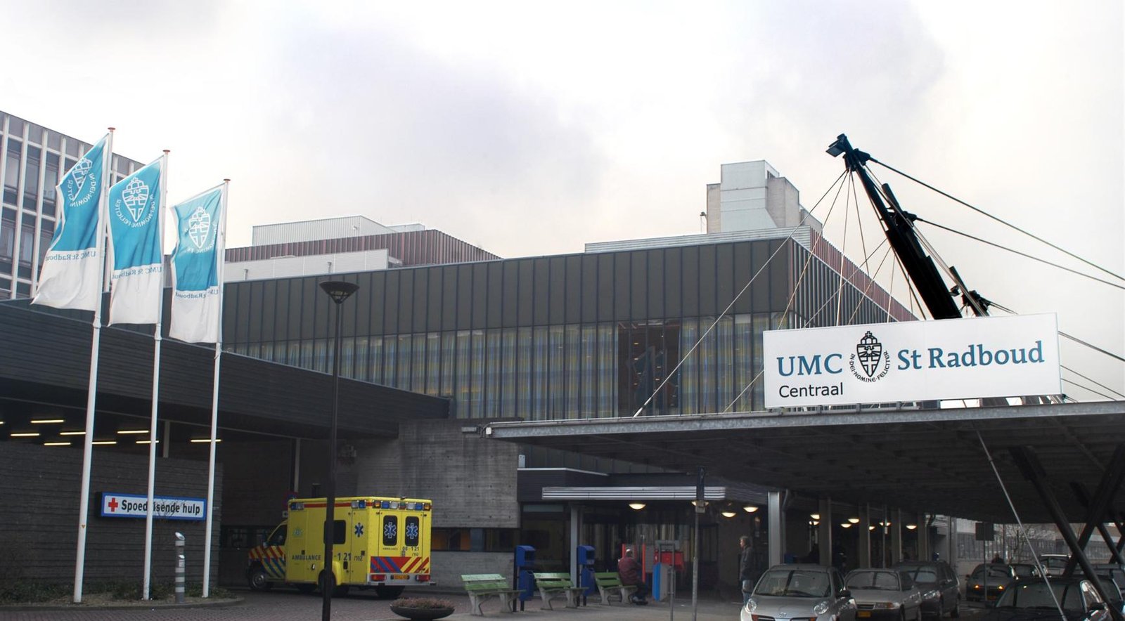 Radboudumc-led study finds radiation and chemo often cure rectal cancer without surgery