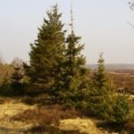 Missing Gelderland man found safe six months after disappearance