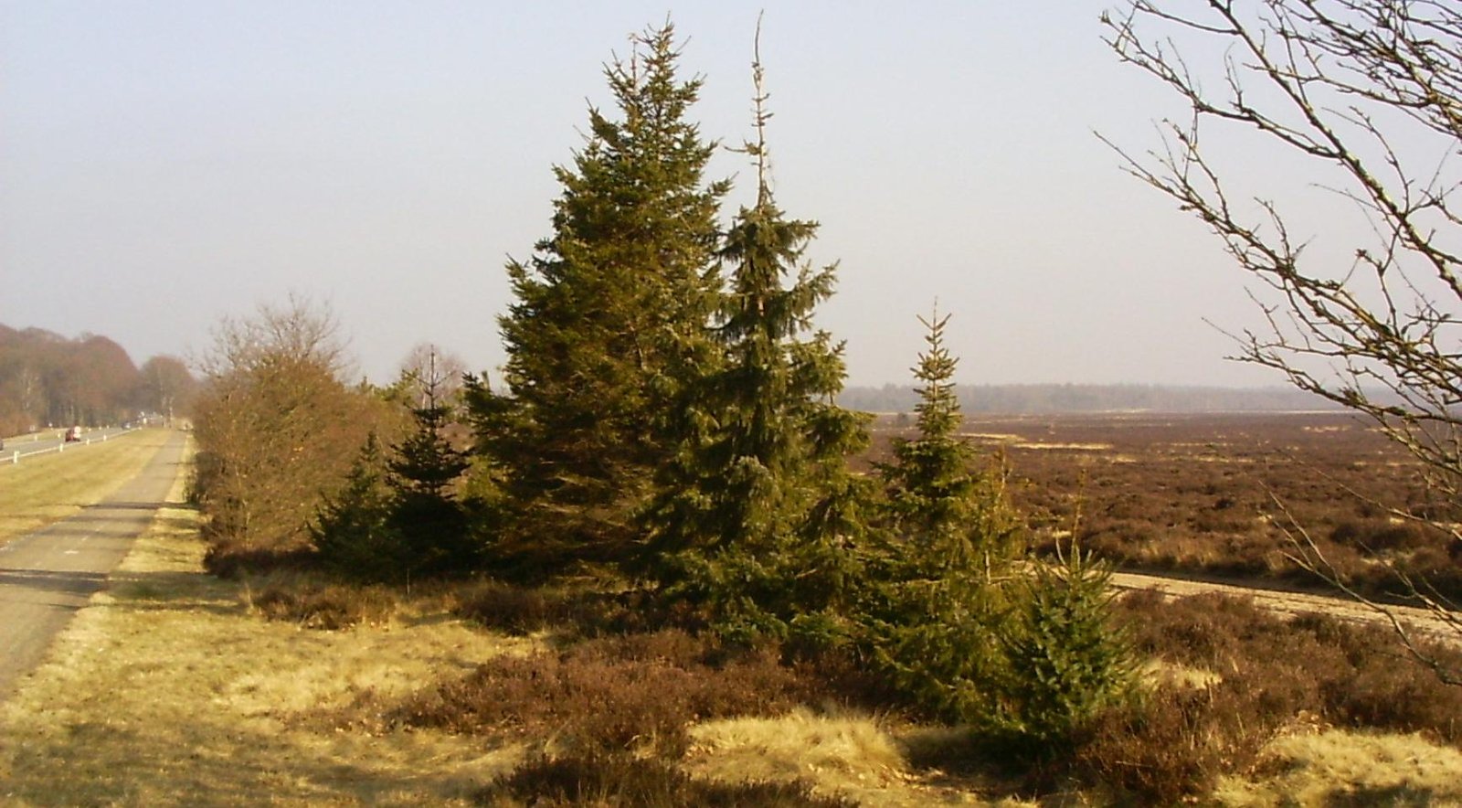 Missing Gelderland man found safe six months after disappearance
