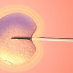 Belgian authorities investigate whether Dutch mass sperm donor fathered local children
