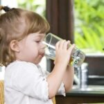 Dutch inspectorate: Harfmul PFAS chemicals pose rising risk to drinking water