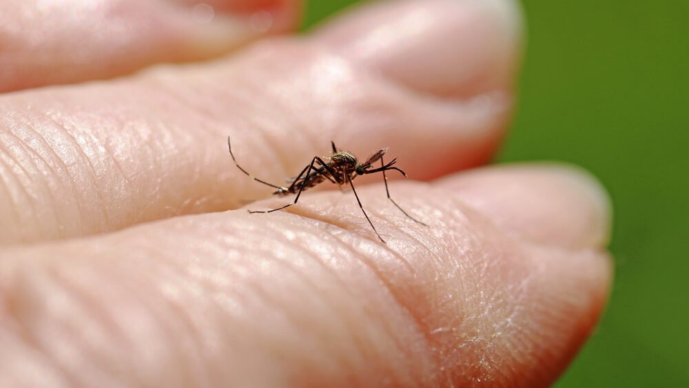 West Nile virus death toll rises to four