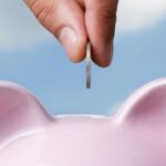National Investment Institutions is likely to have limited impact: CPB