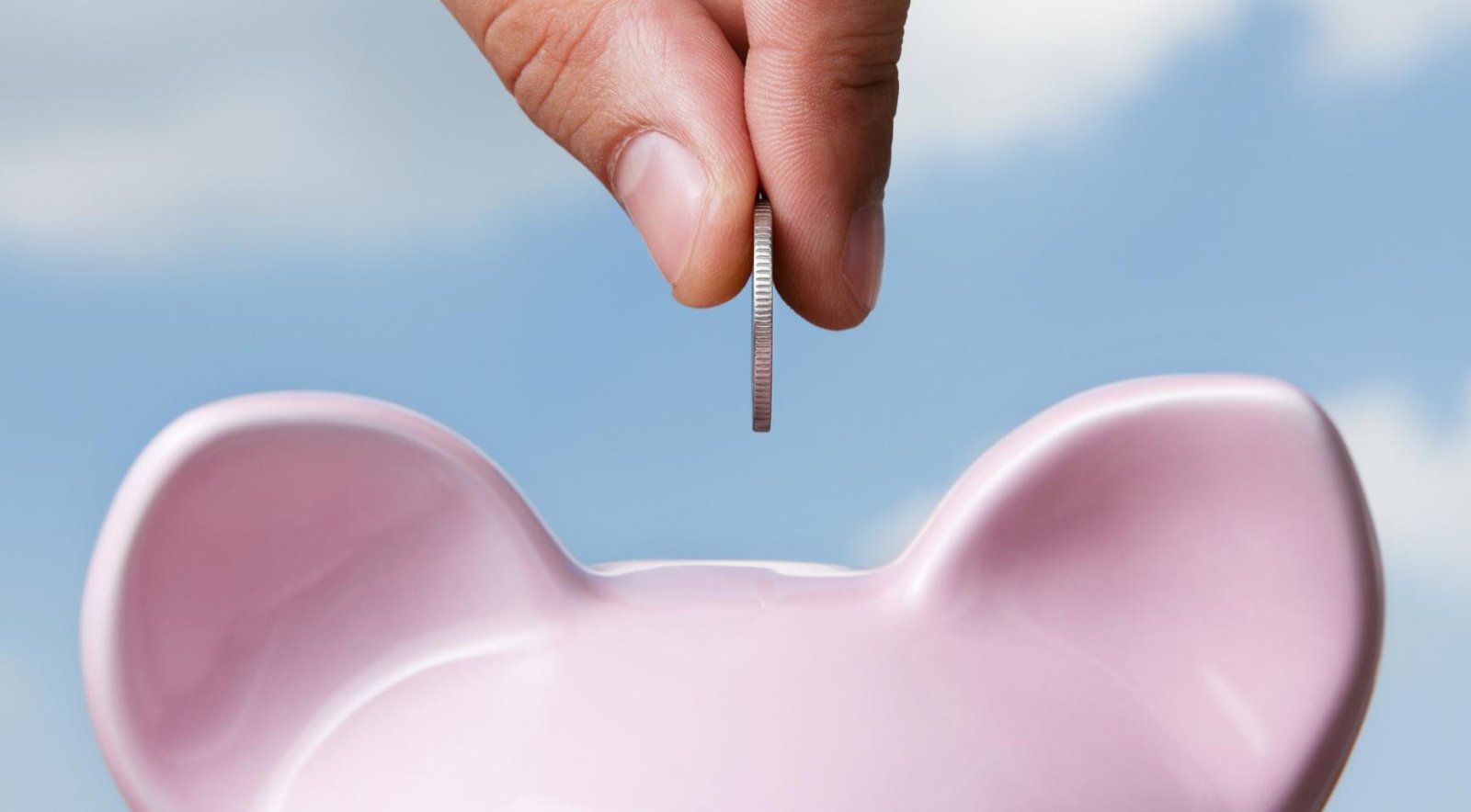 National Investment Institutions is likely to have limited impact: CPB