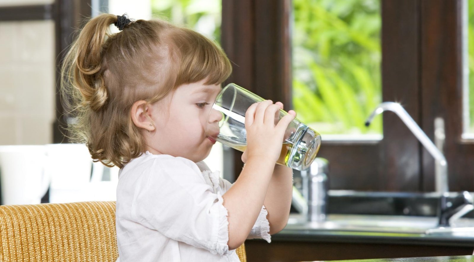 More than third of tap water exceeds limit for toxic chemicals; worst in Noord-Holland