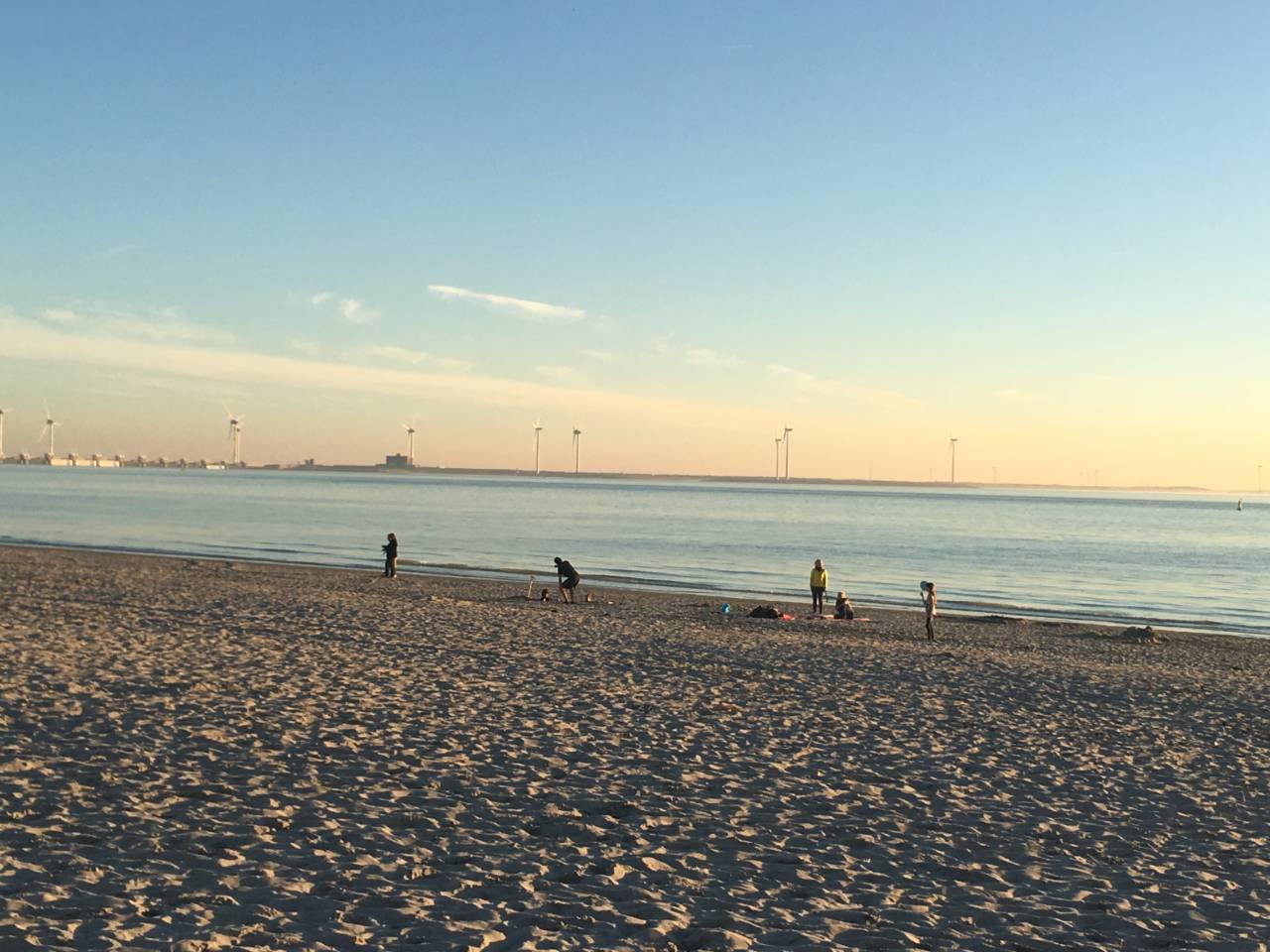 Zeeland warns of oil pollution on beaches