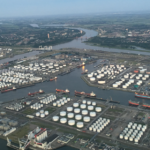 Rotterdam harbour looks to rabbits to help with expansion