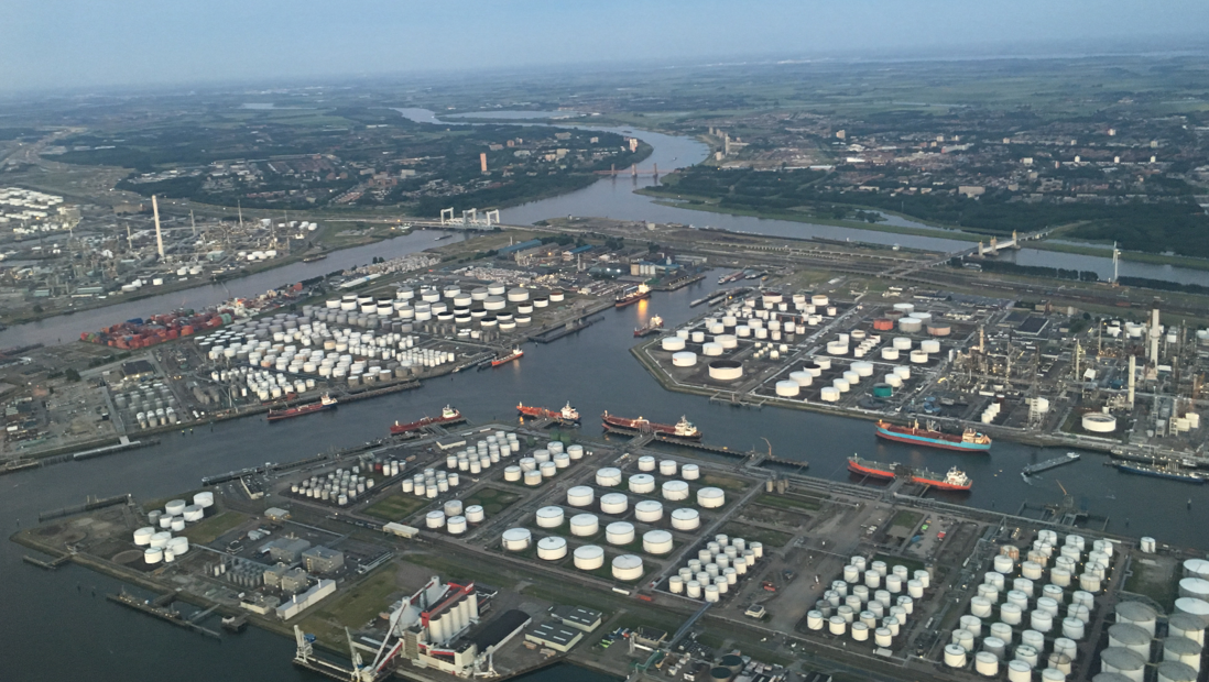 Rotterdam harbour looks to rabbits to help with expansion