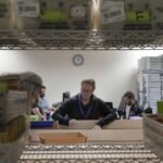 Midterm melee: Americans in the Netherlands gear up to vote