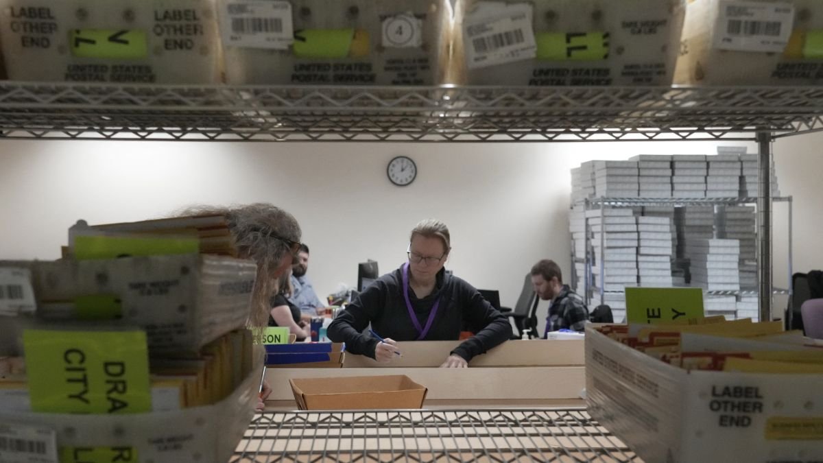 Midterm melee: Americans in the Netherlands gear up to vote