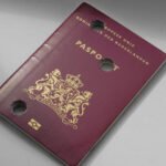 The dual nationality dilemma: what Dutch News readers say